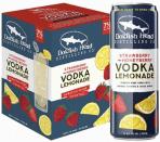 Dogfish Head Strawberry & Honeyberry Vodka Lemonade (44)